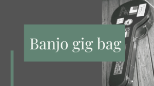 Banjo gig bag