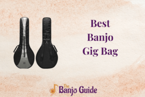 Best Banjo Gig Bag