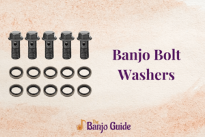 Banjo Bolt Washers