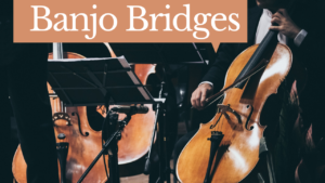 banjo bridges