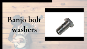 Banjo bolt washers