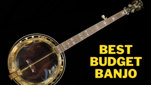 Best Budget Banjo