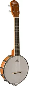 oscar schmidt banjo review