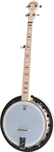 deering sierra banjo review