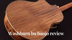 washburn b9 banjo review