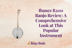 Ibanez B200 Banjo Review