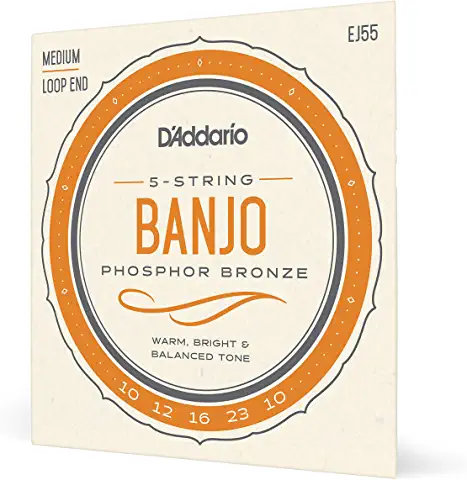 What are the strings on a banjo called