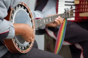 The Right Banjo For Your Style of Playing