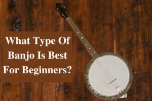What type of banjo is best for beginners