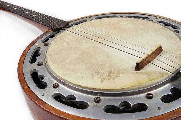 What type of banjo is best for beginners