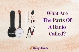 What Are The Parts Of A Banjo Called