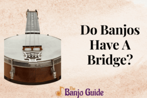 Do Banjos Have A Bridge